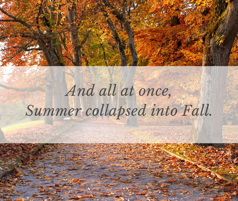 And all at once, Summer collapsed into Fall….