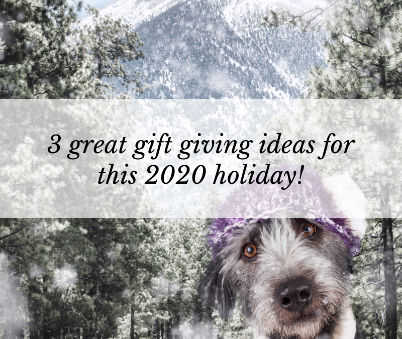 3 great gift giving ideas for this 2020 holiday!